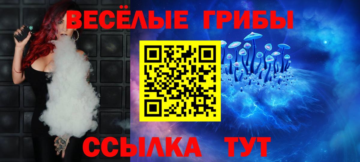Псилоцибиновые грибы Psilocybine cubensis Королёв